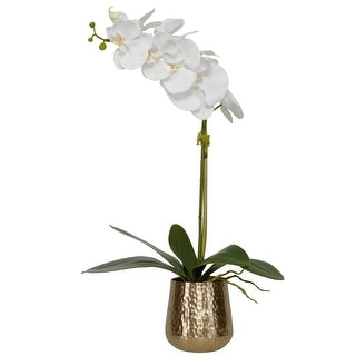 Uttermost Cami Orchid With Brass Pot - 24 x 14 x 8