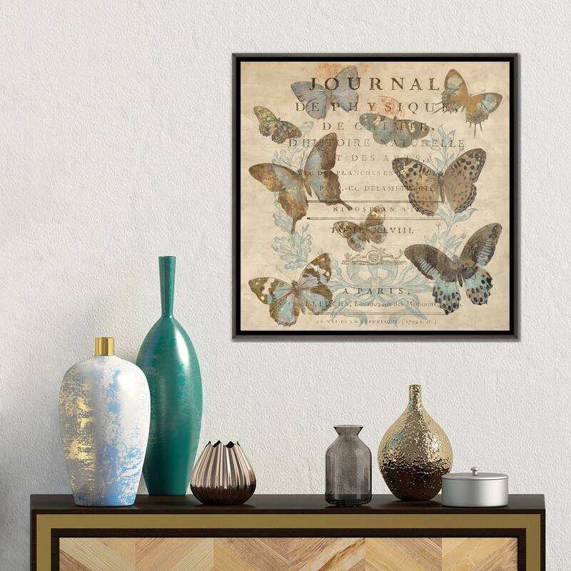 iCanvas "Papillon I" by Deborah Devellier Framed
