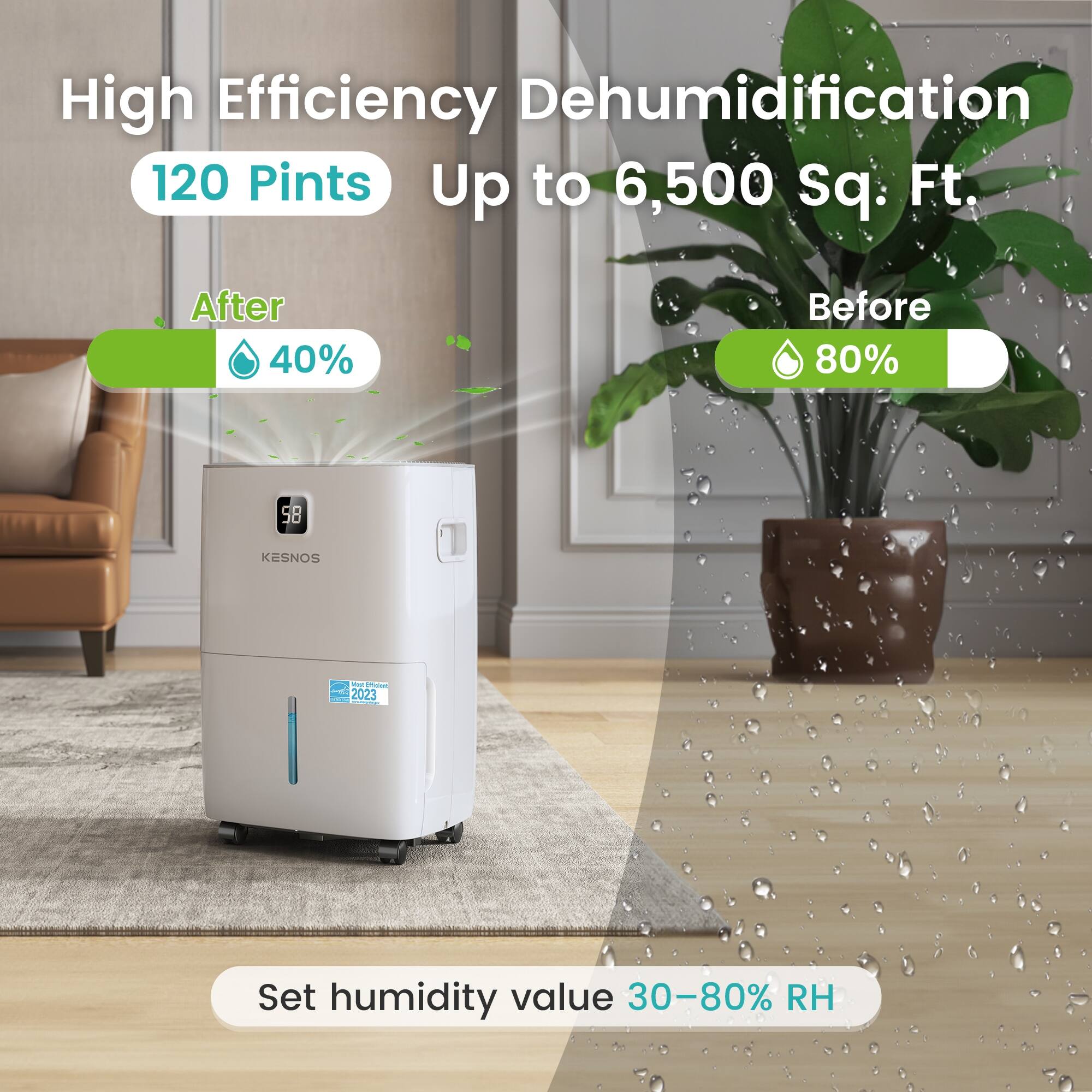 Kesnos 7499 Sq. Ft Home Dehumidifier Most Efficient Energy Star Bed