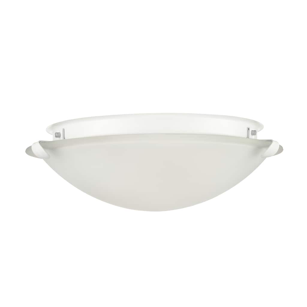 Millennium Lighting 2 Light Flush Mount Fixture