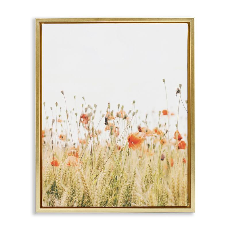 Stupell Poppy Field Photography Framed Floater Canvas Wall Art Design by Krista Broadway