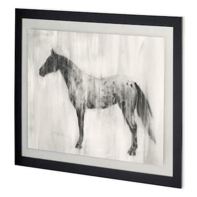Custom Appaloosa Study II (MC) Framed Art Print