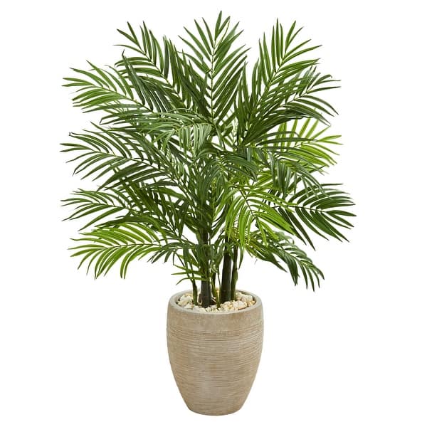 lucky bamboo plant benefits 2 Layer Lucky Bamboo Indoor Plant