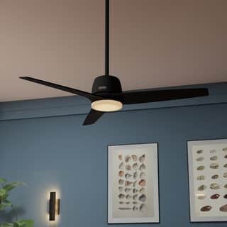 Hunter + Jasmine Roth 52" Malden Ceiling Fan w/ LED Light, Remote - Casual, Transitional - Designer!