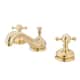 Option Polished Brass