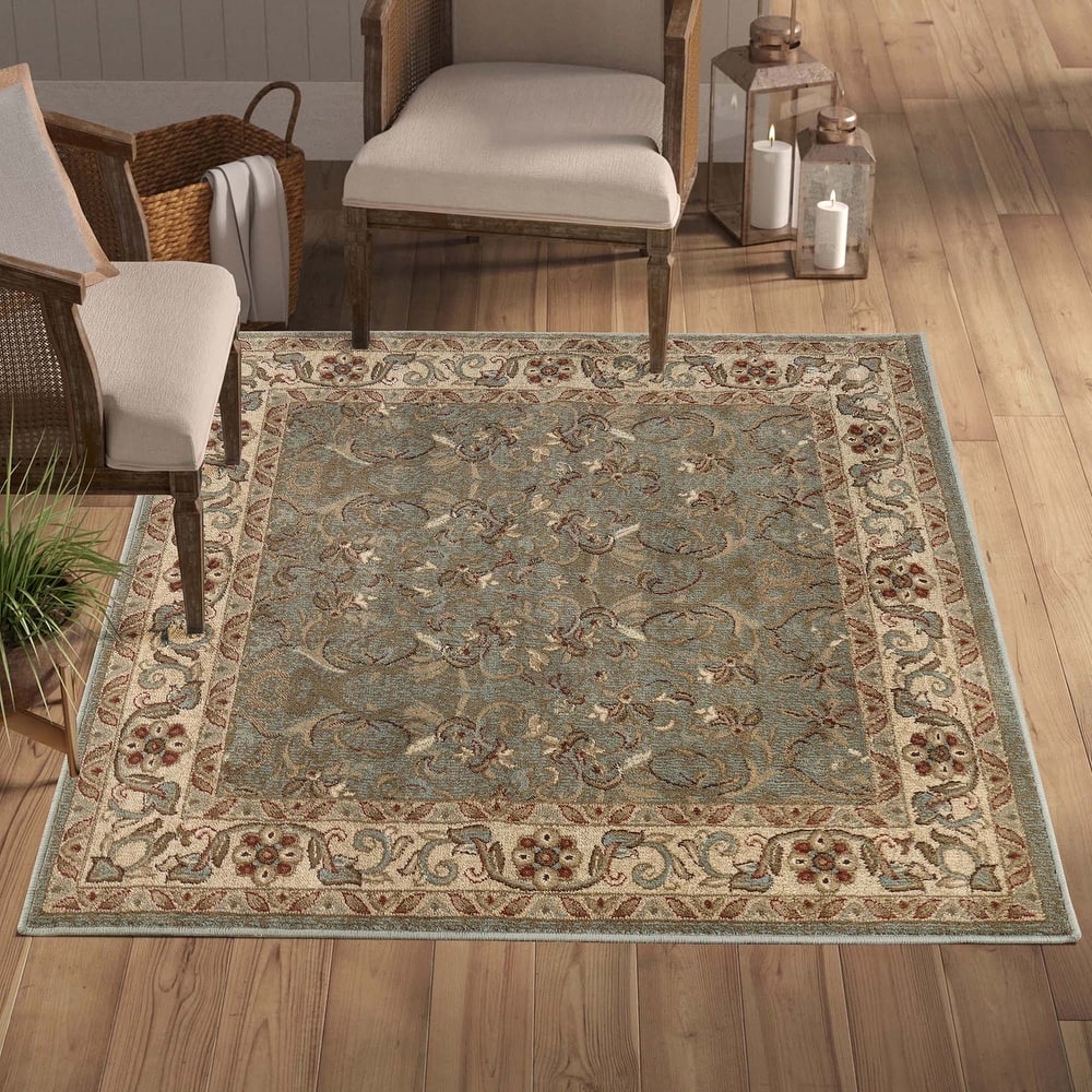 Superior Heritage Traditional Floral Scroll Indoor Area Rug