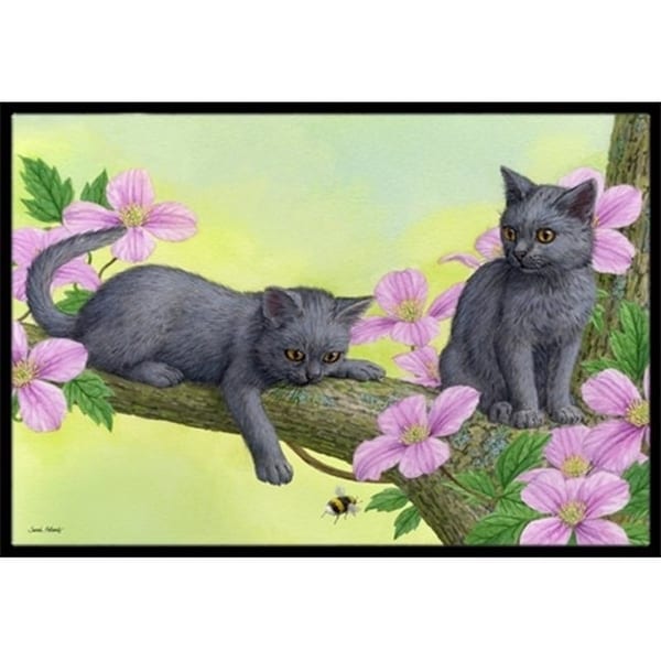 Carolines Treasures ASA2211MAT Chartruex Kittens Indoor or Outdoor Mat 18 x 27
