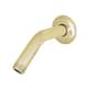 Option Polished Brass