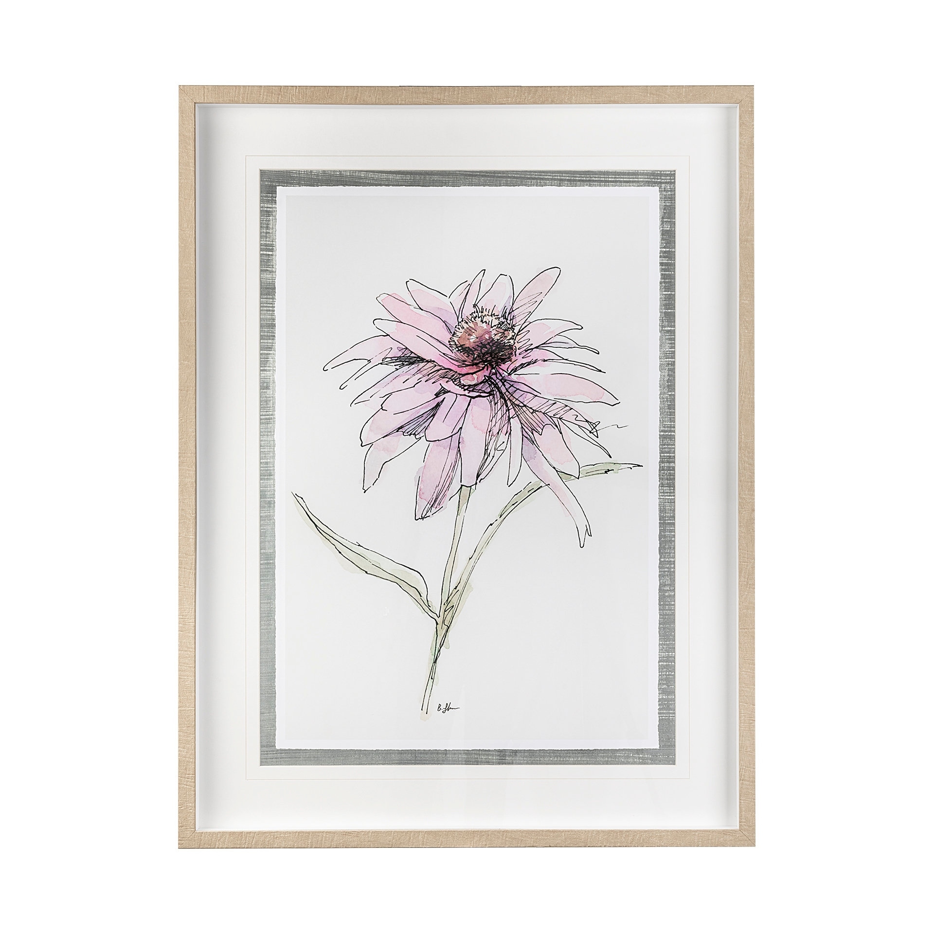 Echinacea I by Panpan Zhang a Framed Art Print Matted under Glass
