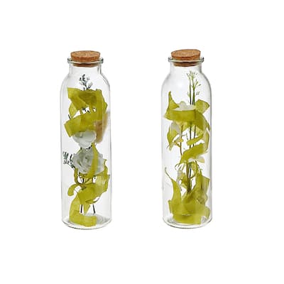 IH Casa Decor Dried Floral Arrangement In Glass Tube Asstd - Set of 2