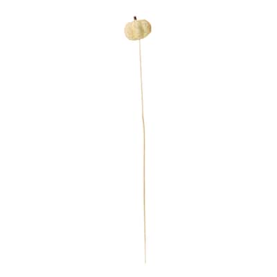2" Bleached Coco Pumpkin on 2" Stem, Set of 12 - 25