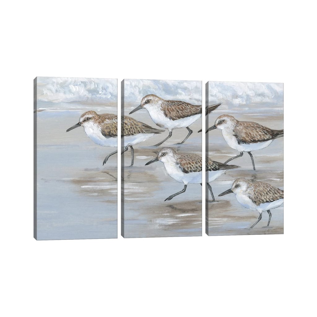 iCanvas "Sandpipers I" by Tim OToole 3-Piece Wall Art Set