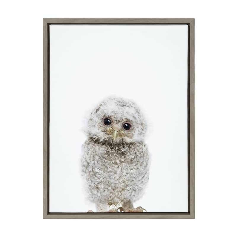 Kate and Laurel Sylvie Animal Studio Owl Framed Canvas by Amy Peterson Art Studio