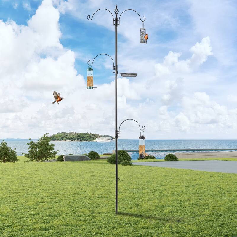 Deluxe Bird Feeding Station Kit with 4 Hooks Suet Cage Mesh Tray and Water Bowl Adjustable Rust Resistant