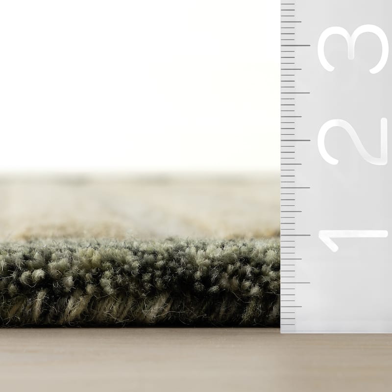 Carmeon Hamilton Caly Modern Bordered Wool Rug