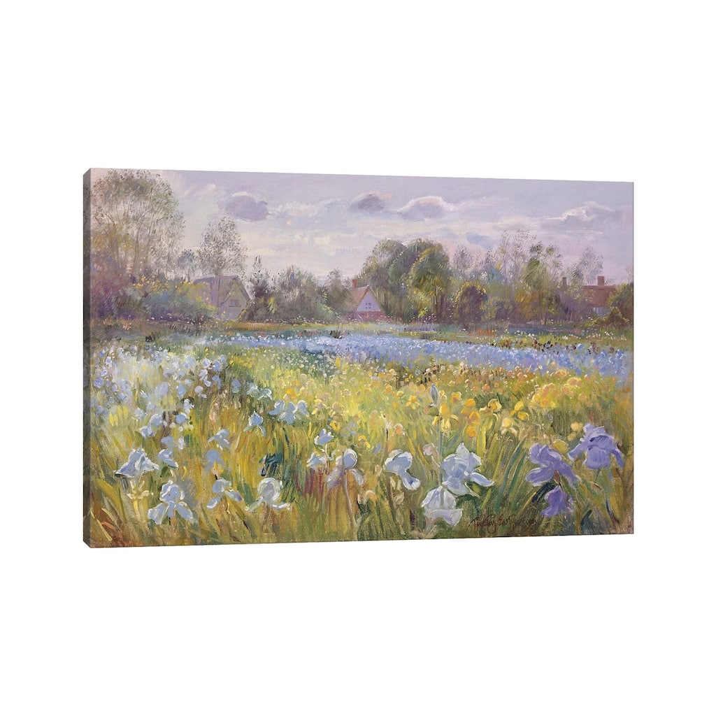 iCanvas "Iris Field In The Evening Light, 1993" by Timothy Easton Canvas Print