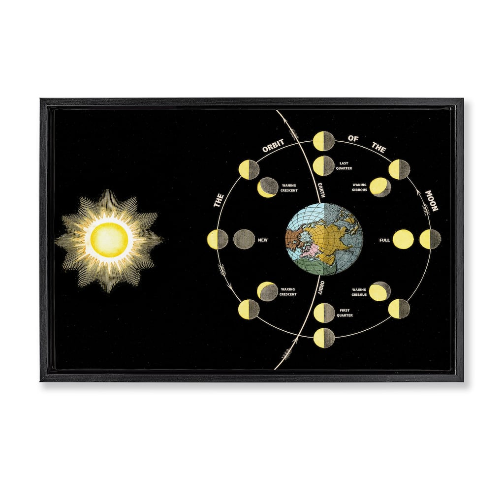 Stupell Moon's Orbit & Phases Framed Floater Canvas Wall Art Design By Phillipa Katz