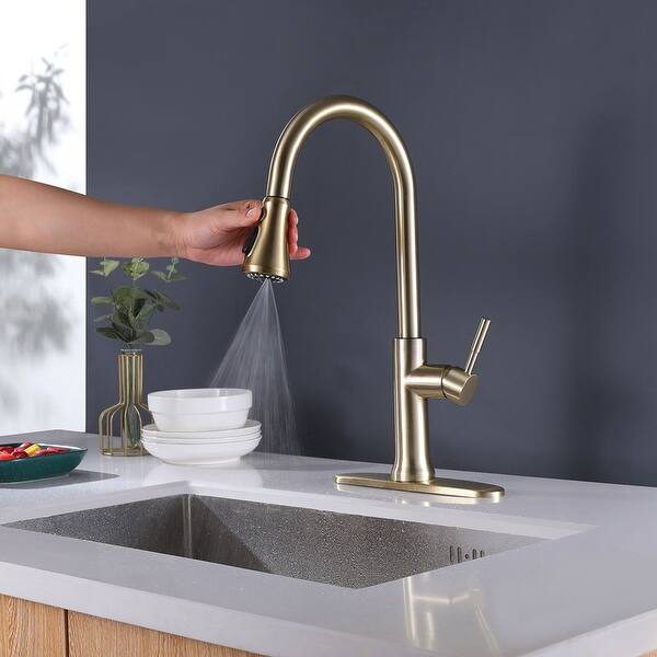 Single Handle Kitchen Sink Faucet with Pull Down Sprayer ...