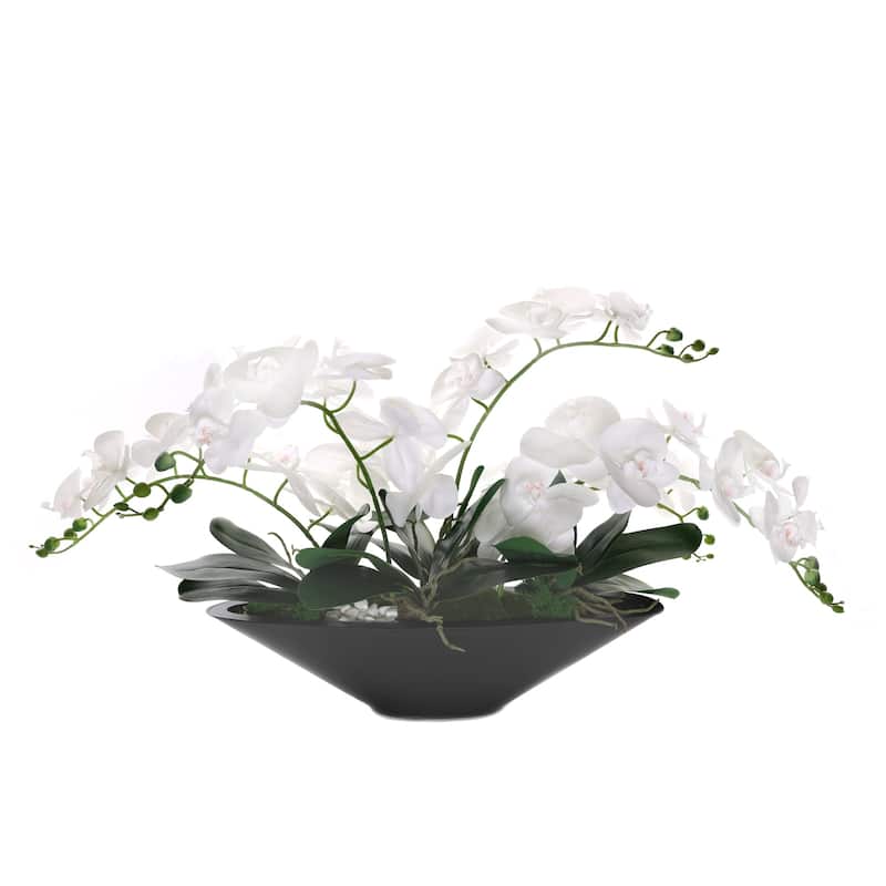White Real Touch Phalaenopsis Orchids in Modern Black Pot
