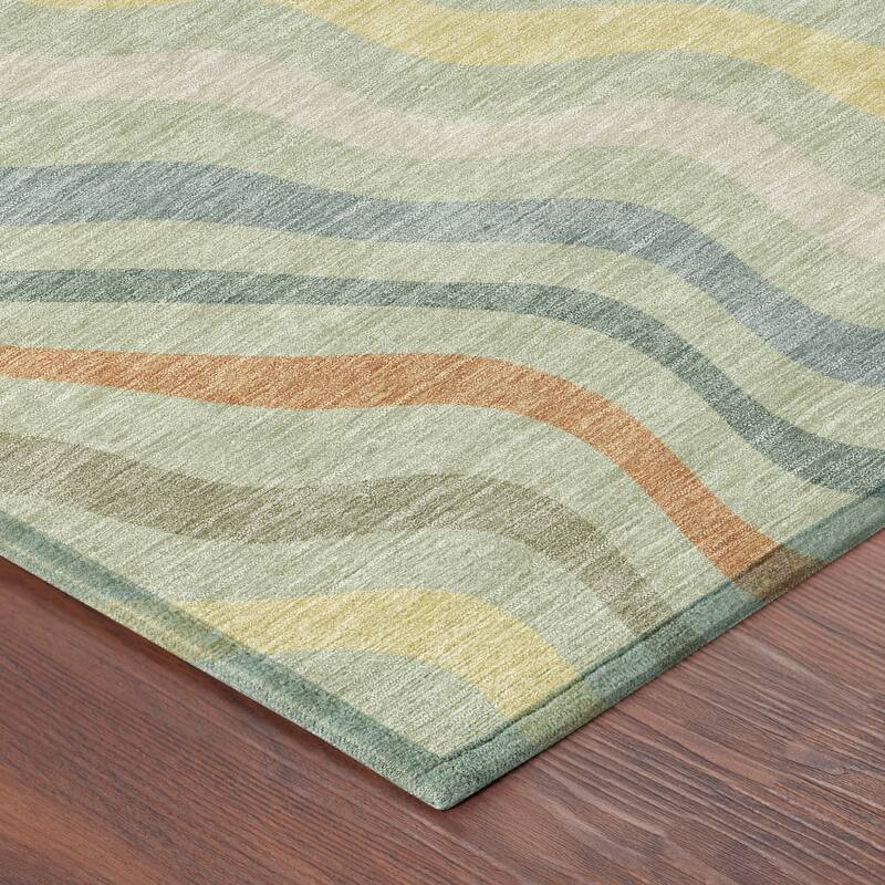Machine Washable Indoor/ Outdoor Modern Eureka Chantille Rug