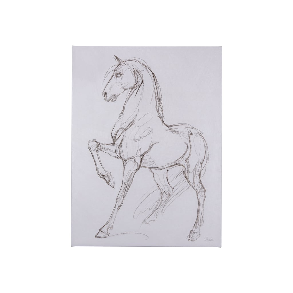 Horse II (30 x 40 ) Canvas Art Print