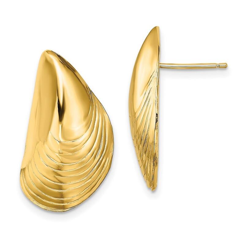 Curata 14k Yellow Gold Polished Mussel Shell Post Earrings 24.4x13.2mm