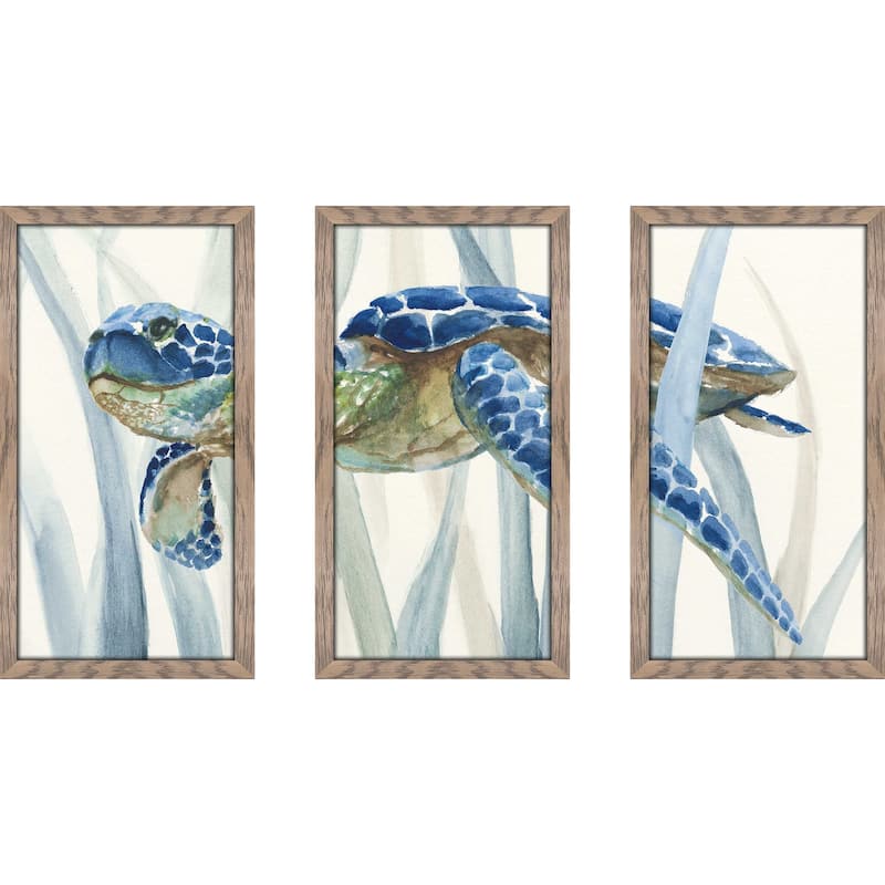"Turtle in Seagrass II" 3 Piece Print on Acrylic