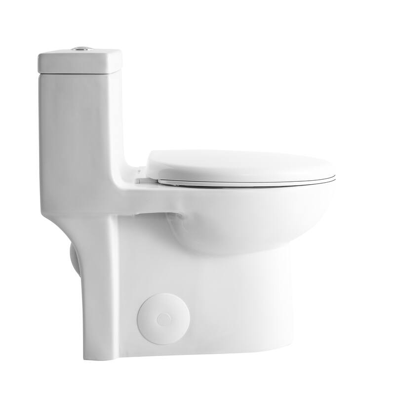 1.6/1.1GPF Dual-Flush One-Piece Toilet, Elongated ADA, 1000g MAP,White