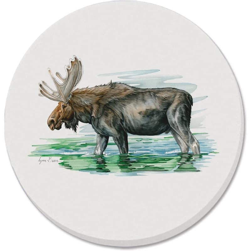 Lake Moose 4 Pack Absorbent Stone Coasters with Protective Cork Backing Made in The USA Artistic Absorbent Easily Wipes Clean - Multi