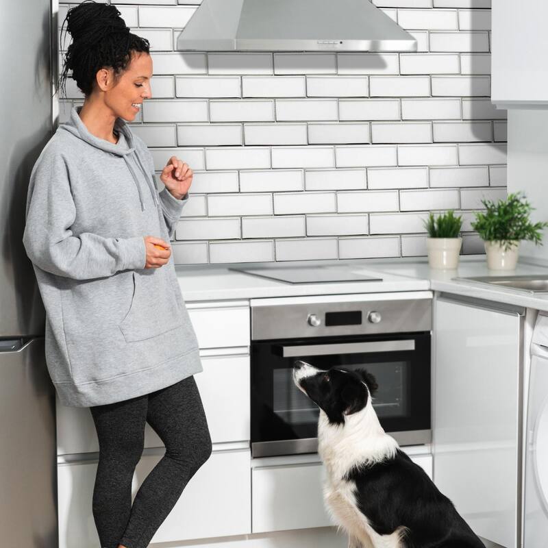 The Tile Life Athena 2x6 White/ Silver Glossy Glass Brick Mosaic Backsplash & Wall Tile