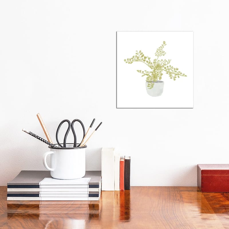 iCanvas "Potted Fern III" by Bannarot Canvas Print - 12x12x1.5