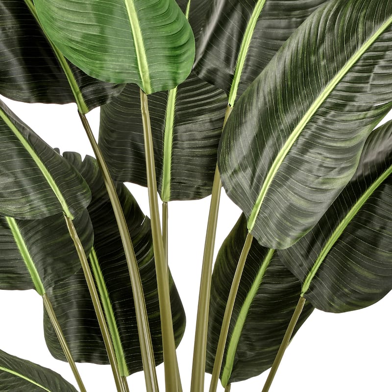 Potted Uv Treated Deluxe Traveler's Palm 5'