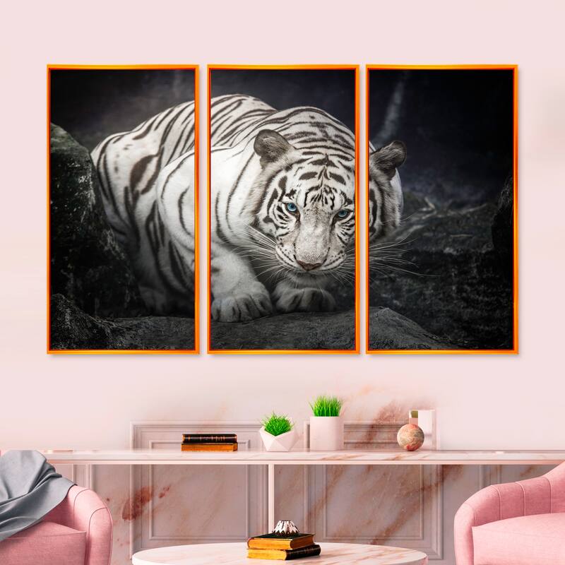 Designart "White Tiger" Animal Framed Canvas Wall Art Print Set of 3