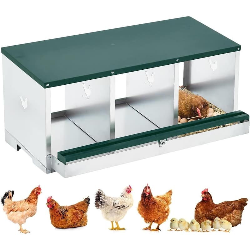 Wall-Mount or Free-Standing Metal Chicken Nesting Box for Backyard Coops, Green - Green 3 Compartments