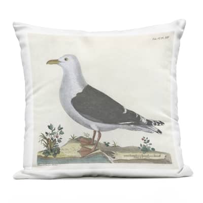 Stupell Vintage Seagull Study Diagram Printed Outdoor Throw Pillow Design by Phillipa Katz