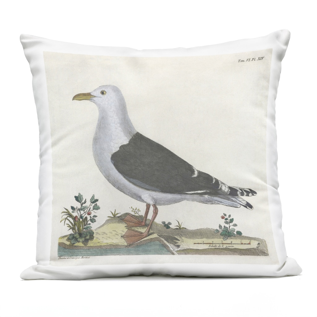 Stupell Vintage Seagull Study Diagram Printed Outdoor Throw Pillow Design by Phillipa Katz