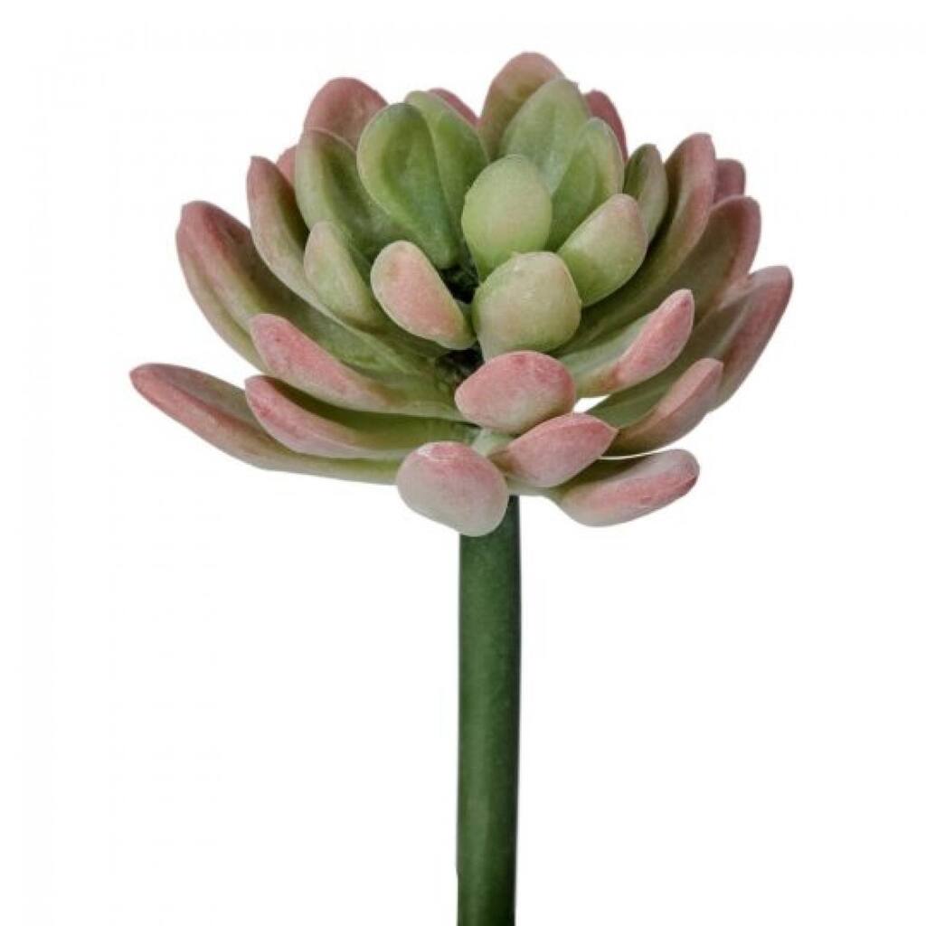 Red And Green Jade Succulent Pick Faux Plants And Trees