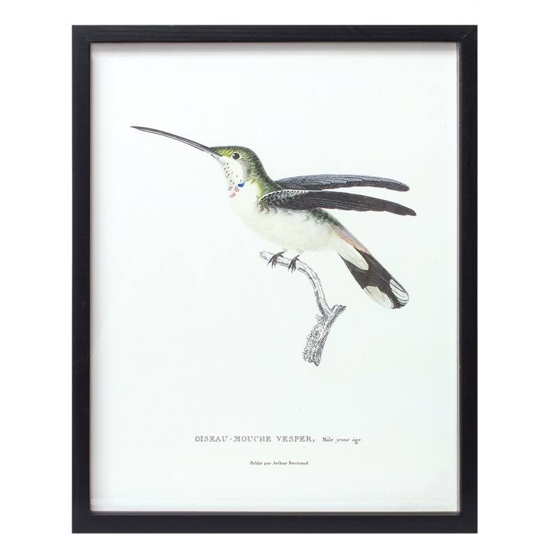 Framed Bird Print (Set of 5) MultiColor Bed Bath & Beyond 36625408