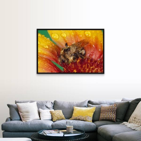 Shop Bumble Bee On Flower Blossom In Rain Close Up Black Float