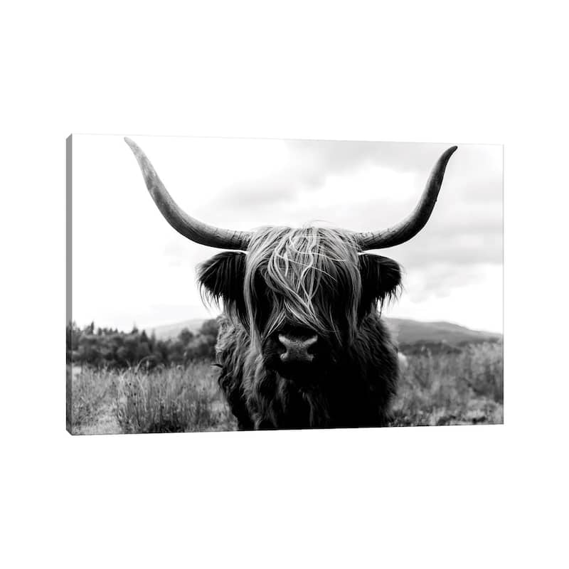 iCanvas "Portrait Of A Scottish Wooly Highland Cow In Scotland - Black And White" by Michael Schauer Canvas Print