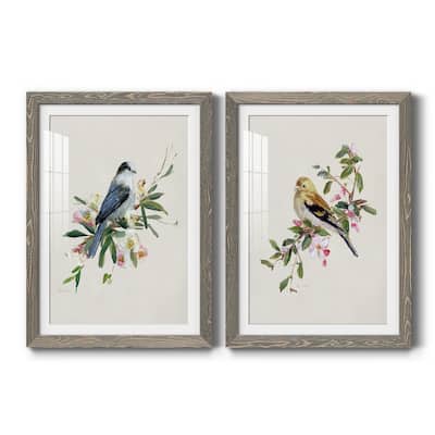 Spring Song Gray Jay-Premium Framed Print - Ready to Hang