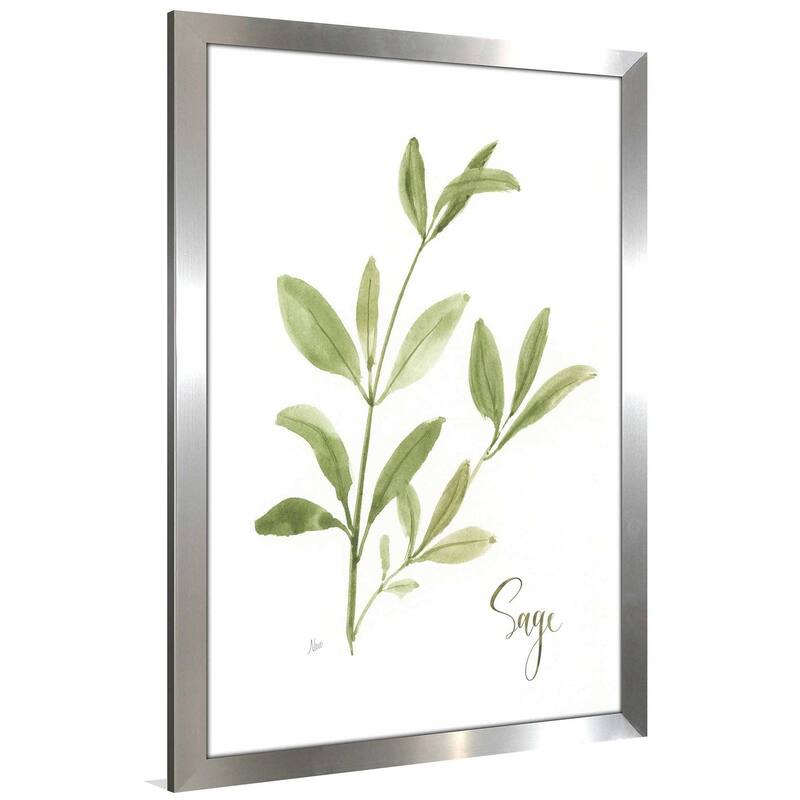 "Herb Sage" by Nan Print on Acrylic