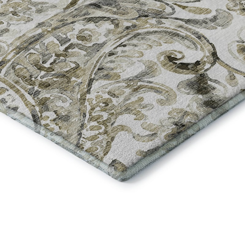 Premium Washable Super Soft Modern Paisley Mayfield Rug