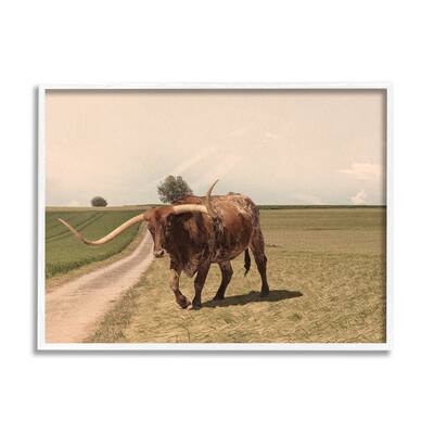 Stupell Longhorn Cattle Grazing Scenic Countryside Landscape Framed Wall Art, Design by Marcus Prime