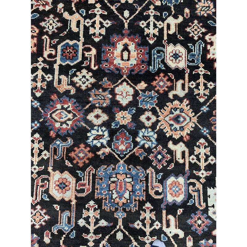 C.Brown/R.Red Hand Knotted Wool Traditional Serapi Rug, 9' x 12', soft cozy area accent - L