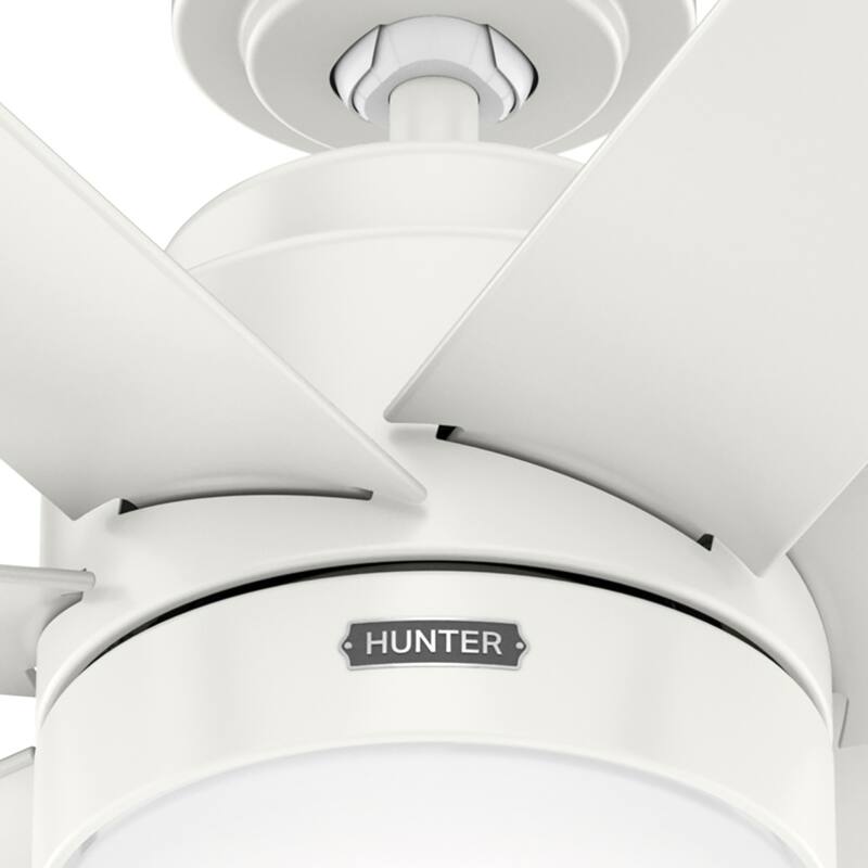 Hunter 52" Brazos Outdoor Ceiling Fan w/LED Light, Handheld Remote - Modern, Transitional, Windmill - Damp Rated - ENERGY STAR!