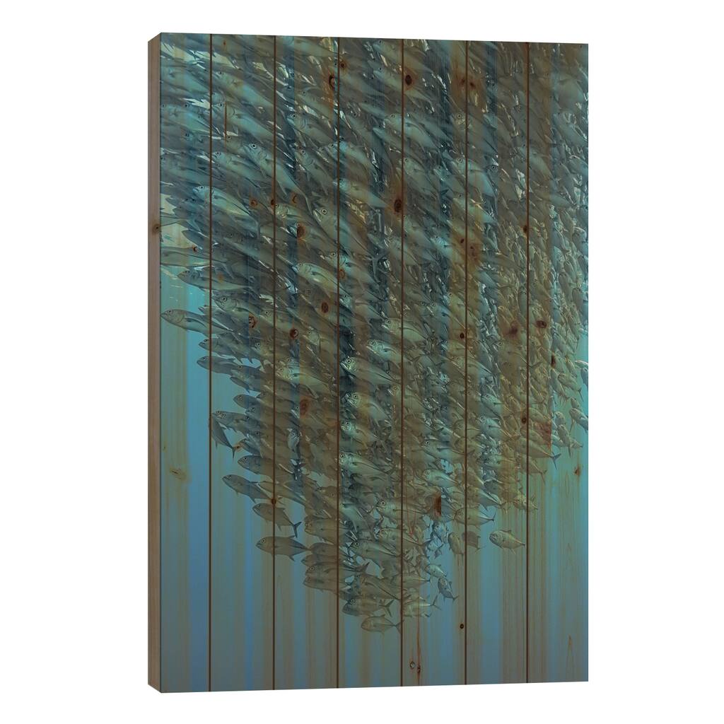 Schooling Jackfishes Print On Wood by Henry Jager - Multi-Color