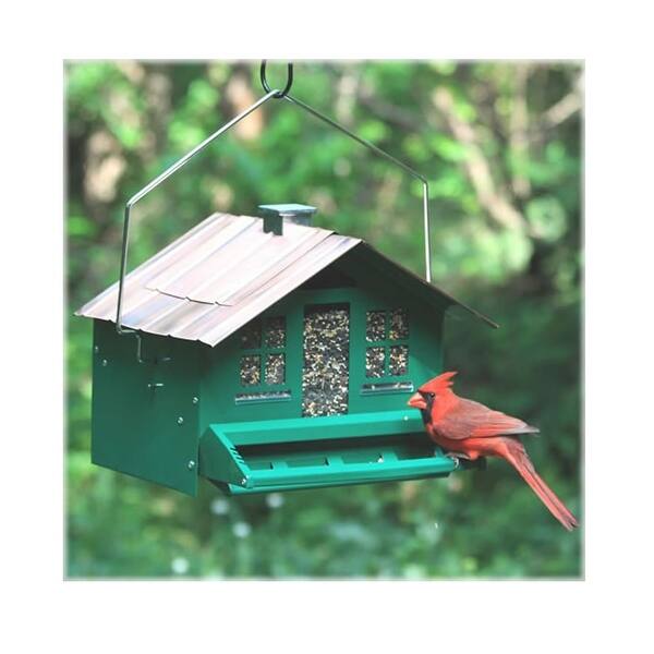 Shop Perky Pet 339 Squirrel Be Gone Ii Home Style Wild Bird Feeder