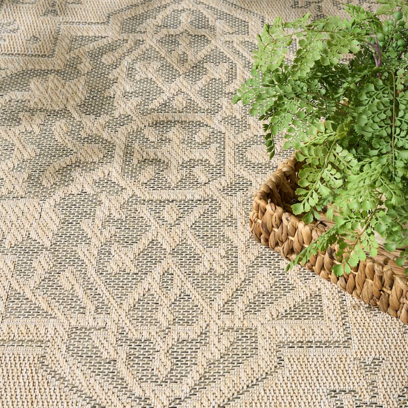 Nourison Tulum Indoor/Outdoor Persian Area Rug