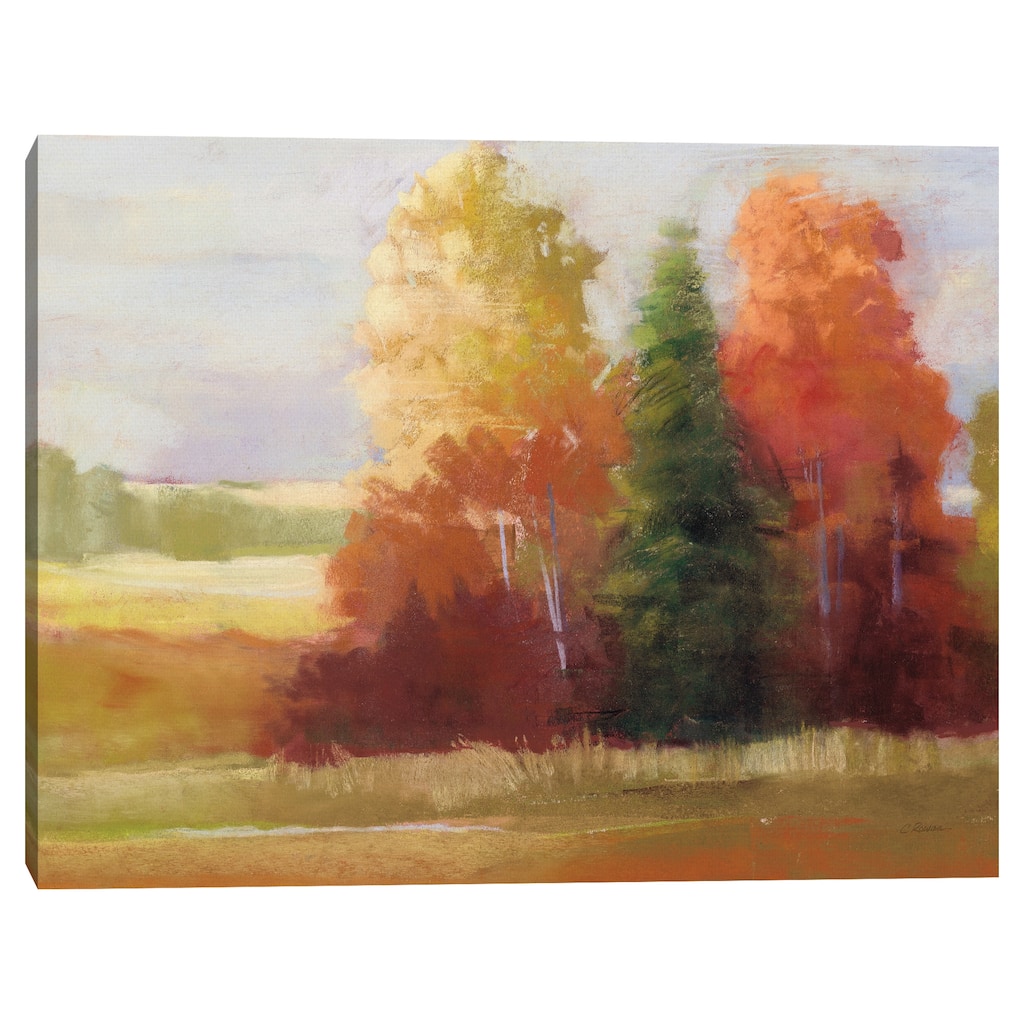 Autumn Leaves by Carol Rowan Canvas Art Print